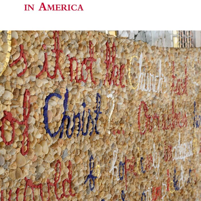 Copertina del libro "I problemi dell'ortodossia in America"